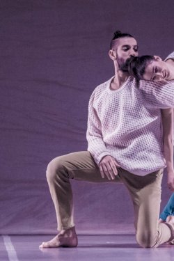 Hopera 2019